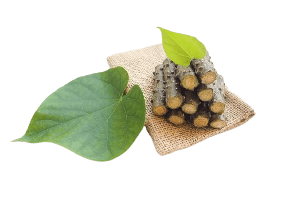 Kembang Bulan